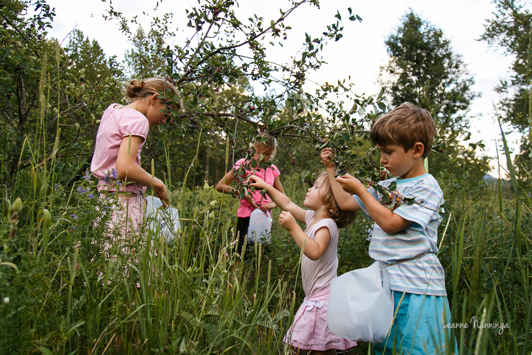 20150715BerryPicking-16