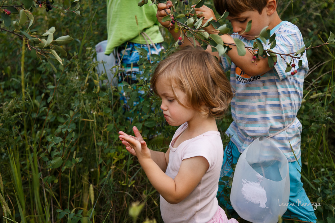 20150715BerryPicking-20